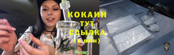 таблы Бородино