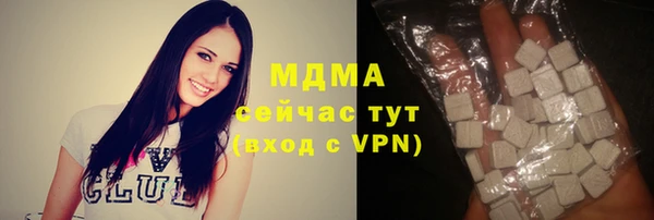 прущие грибы Новозыбков