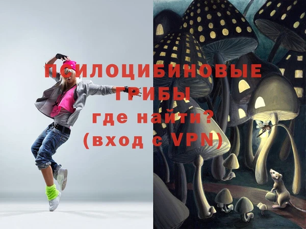 mdpv Верхний Тагил