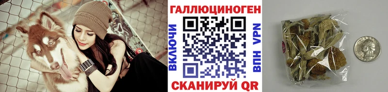 Галлюциногенные грибы Magic Shrooms  hydra ONION  Вышний Волочёк 